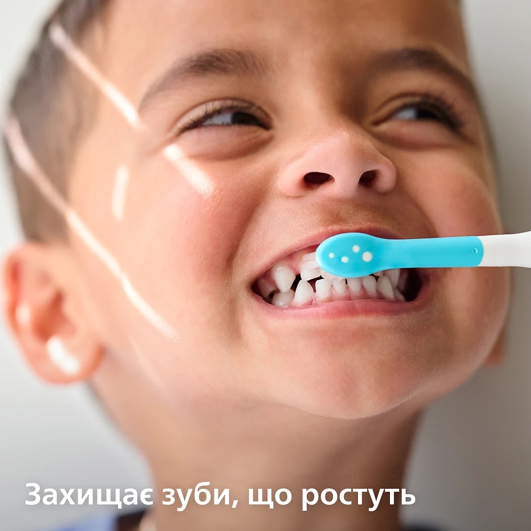 Электрическая зубная щетка Philips HX9911/88 + Philips Sonicare HX6352/11 фото 