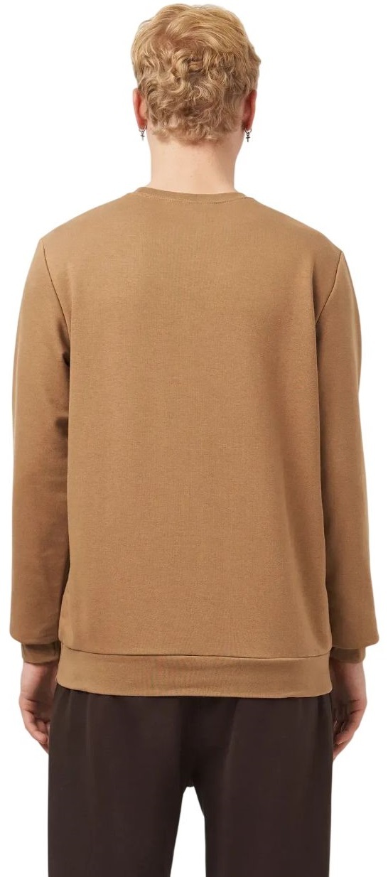 Світшот чоловічий Roza 210542 S темно-бежевийфото2