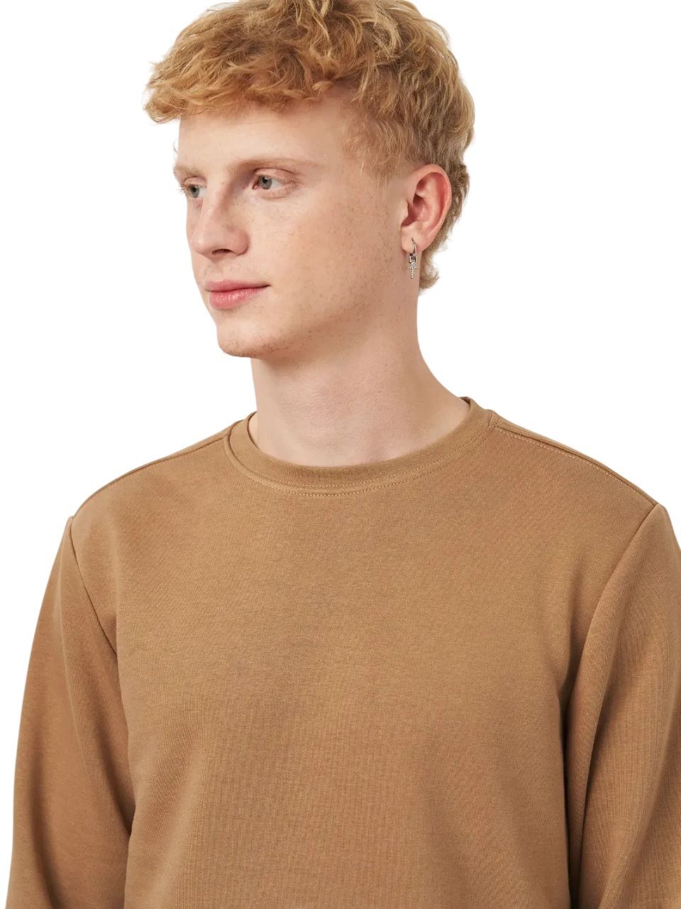 Світшот чоловічий Roza 210542 M темно-бежевийфото4