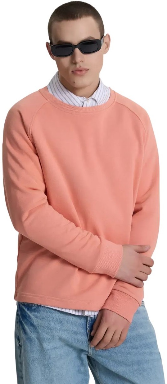 Світшот чоловічий Roza 240620 XS Кораловийфото3