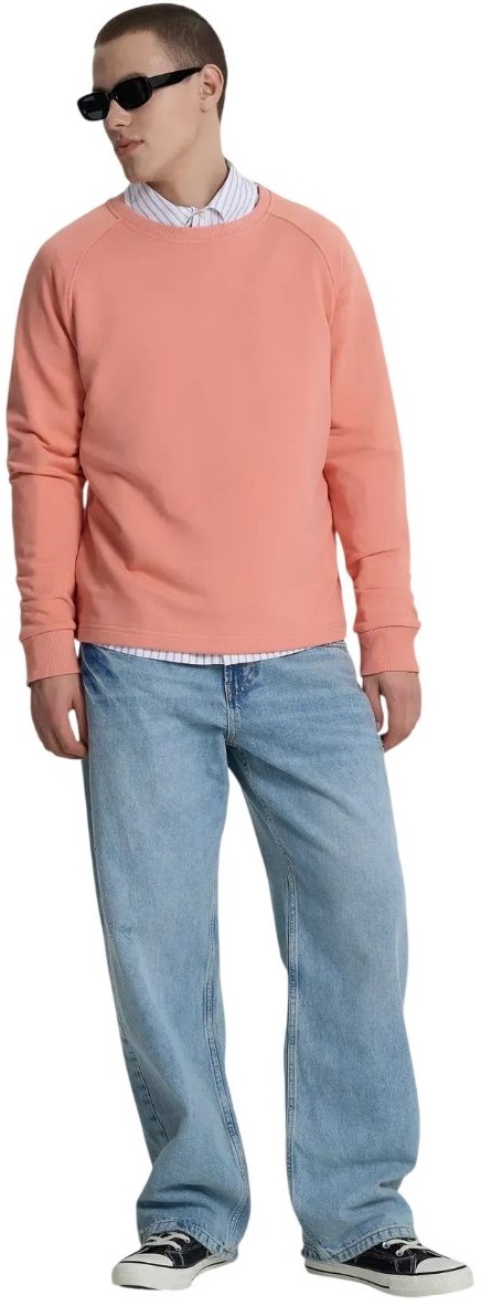 Світшот чоловічий Roza 240620 S Кораловийфото10