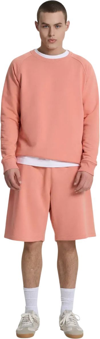 Світшот чоловічий Roza 240620 M Кораловийфото9