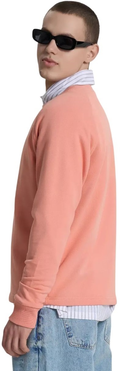 Світшот чоловічий Roza 240620 L Кораловийфото2