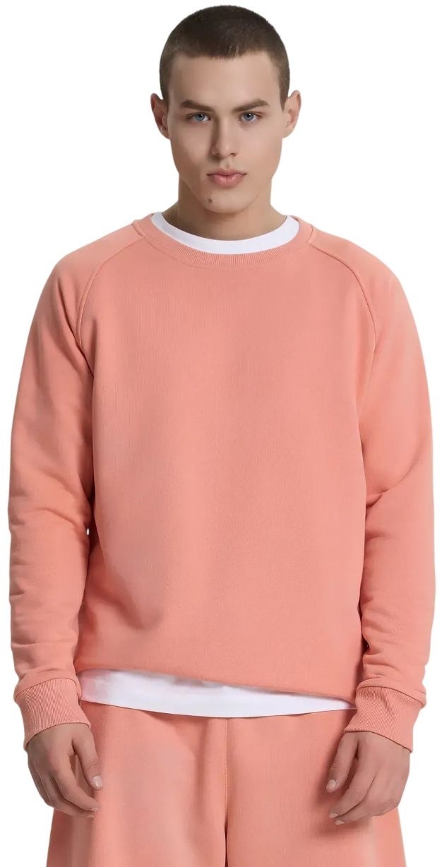 Світшот чоловічий Roza 240620 XL Кораловийфото4