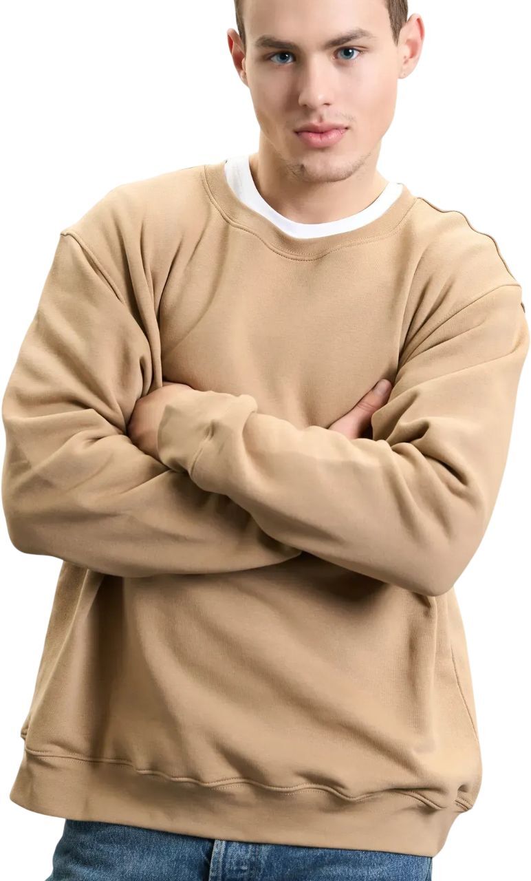 Світшот чоловічий Roza 240452 2XL темно-бежевийфото3