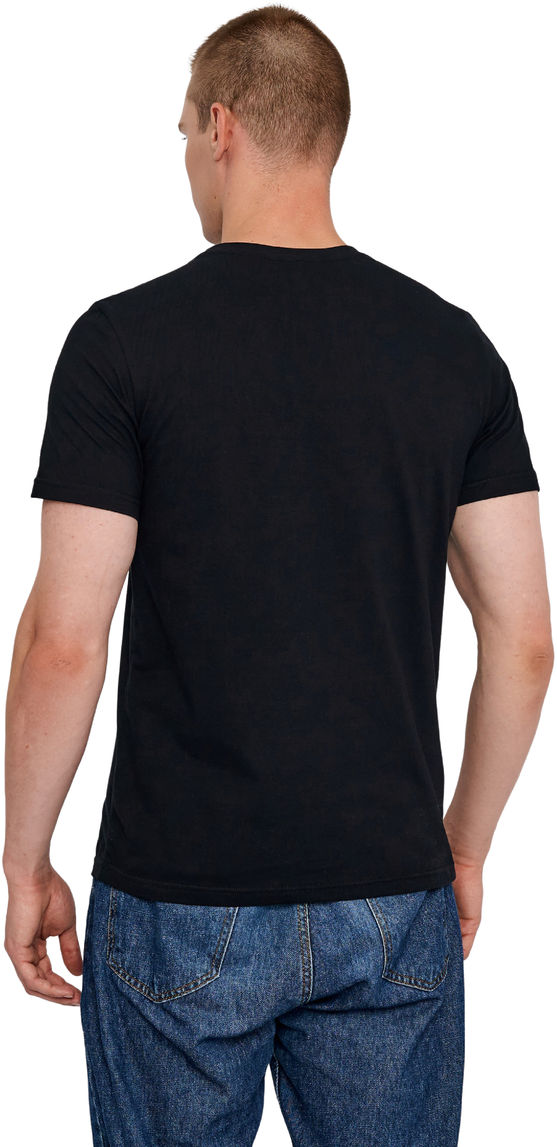 Футболка хлопковая мужская Roza 210135 5XL черная фото 