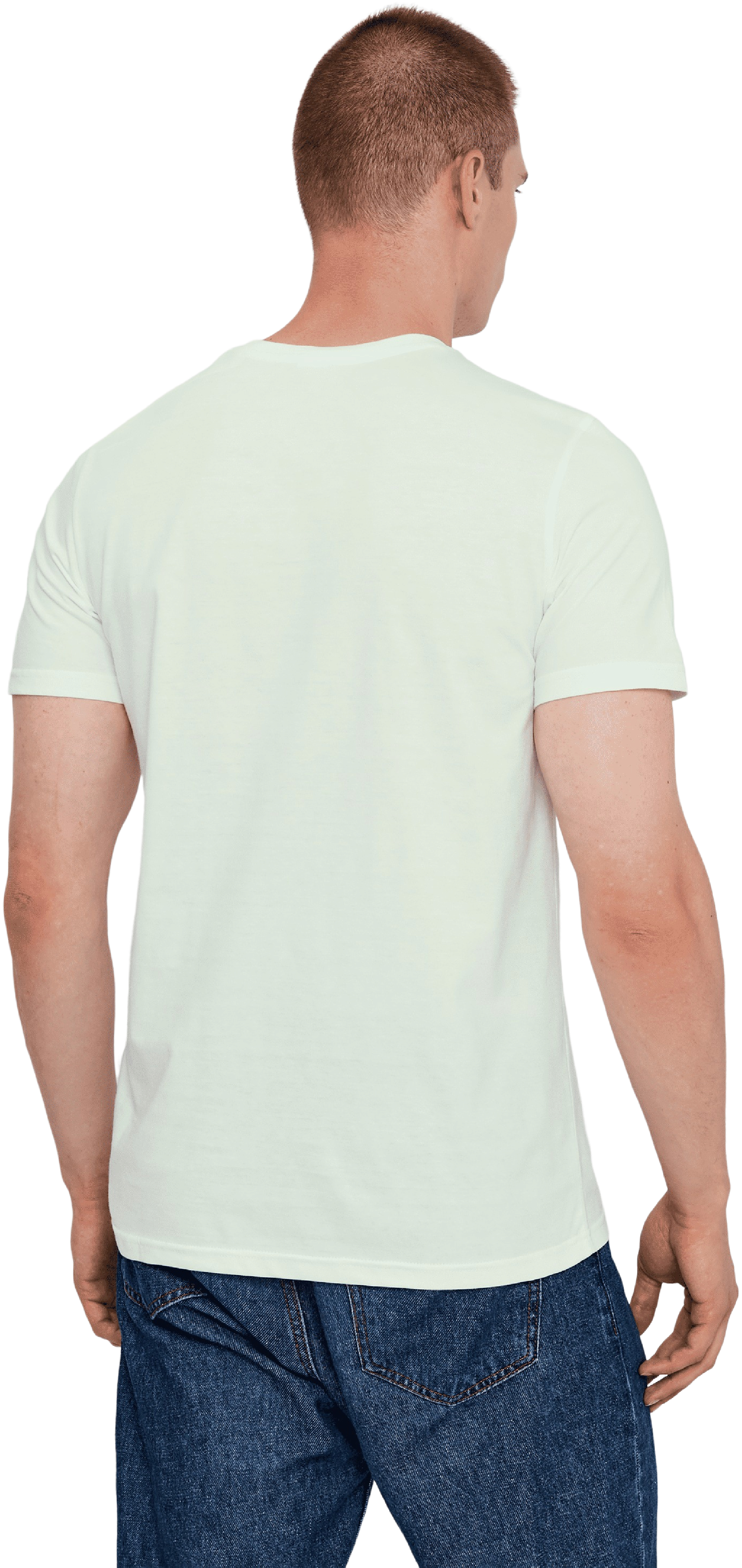 Футболка хлопковая мужская Roza 210135 4XL светло-зеленая фото 2