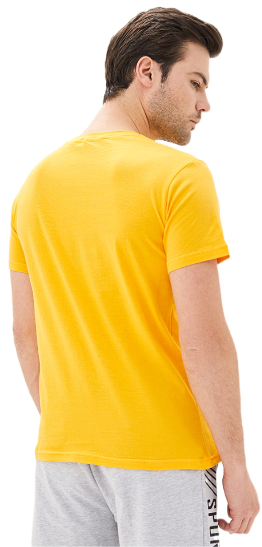 Футболка хлопковая мужская Roza 170201 3XL желтая фото 2