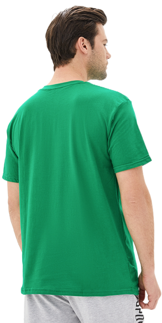 Футболка хлопковая мужская Roza 170201 3XL зеленая фото 2