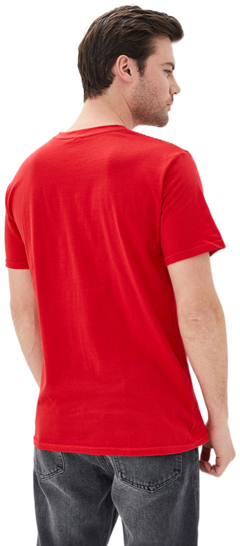 Футболка хлопковая мужская Roza 170201 2XL красная фото 2