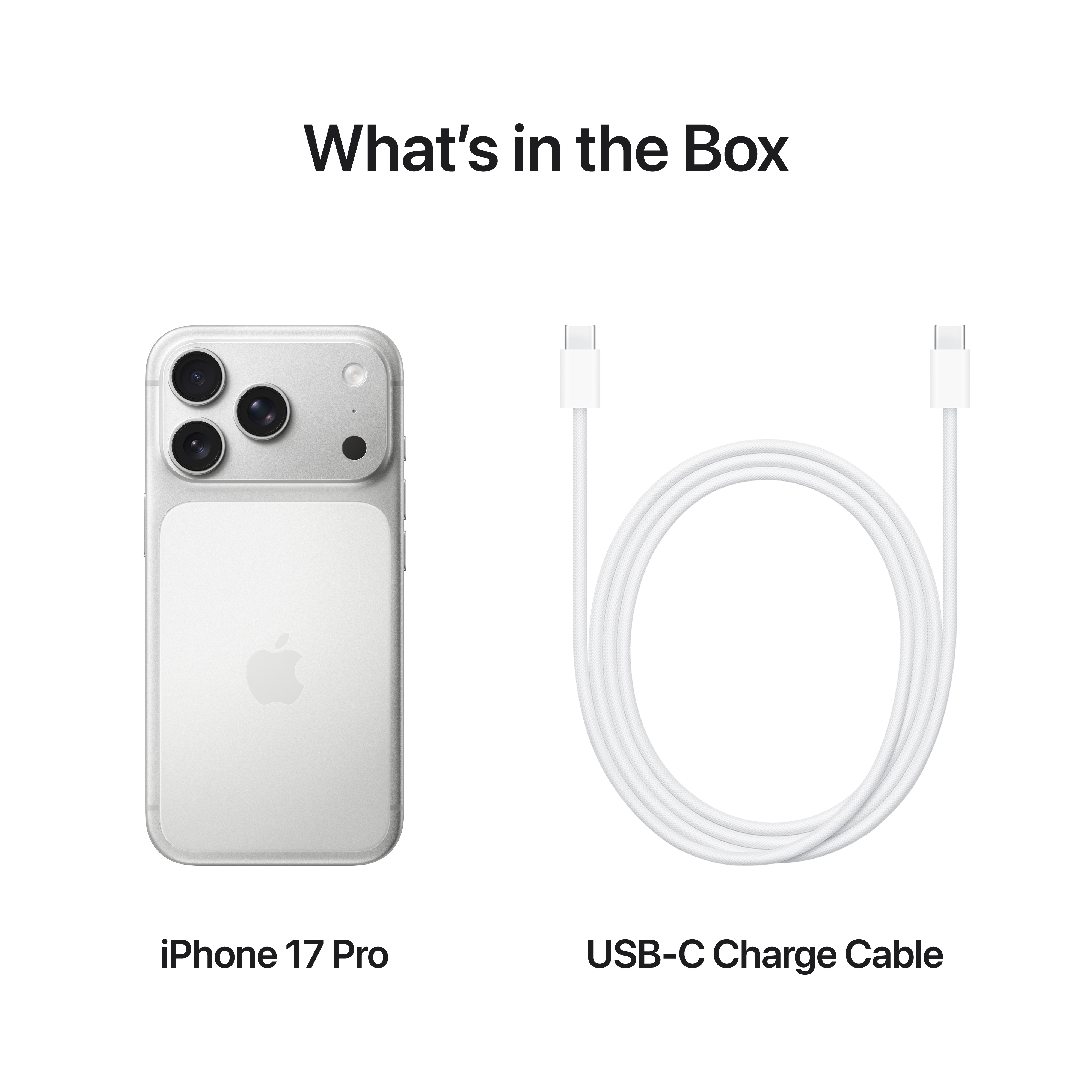 Вітринний зразок Apple iPhone 17 Pro 256GB Silver (MG8G4AF/A)_DEMOфото