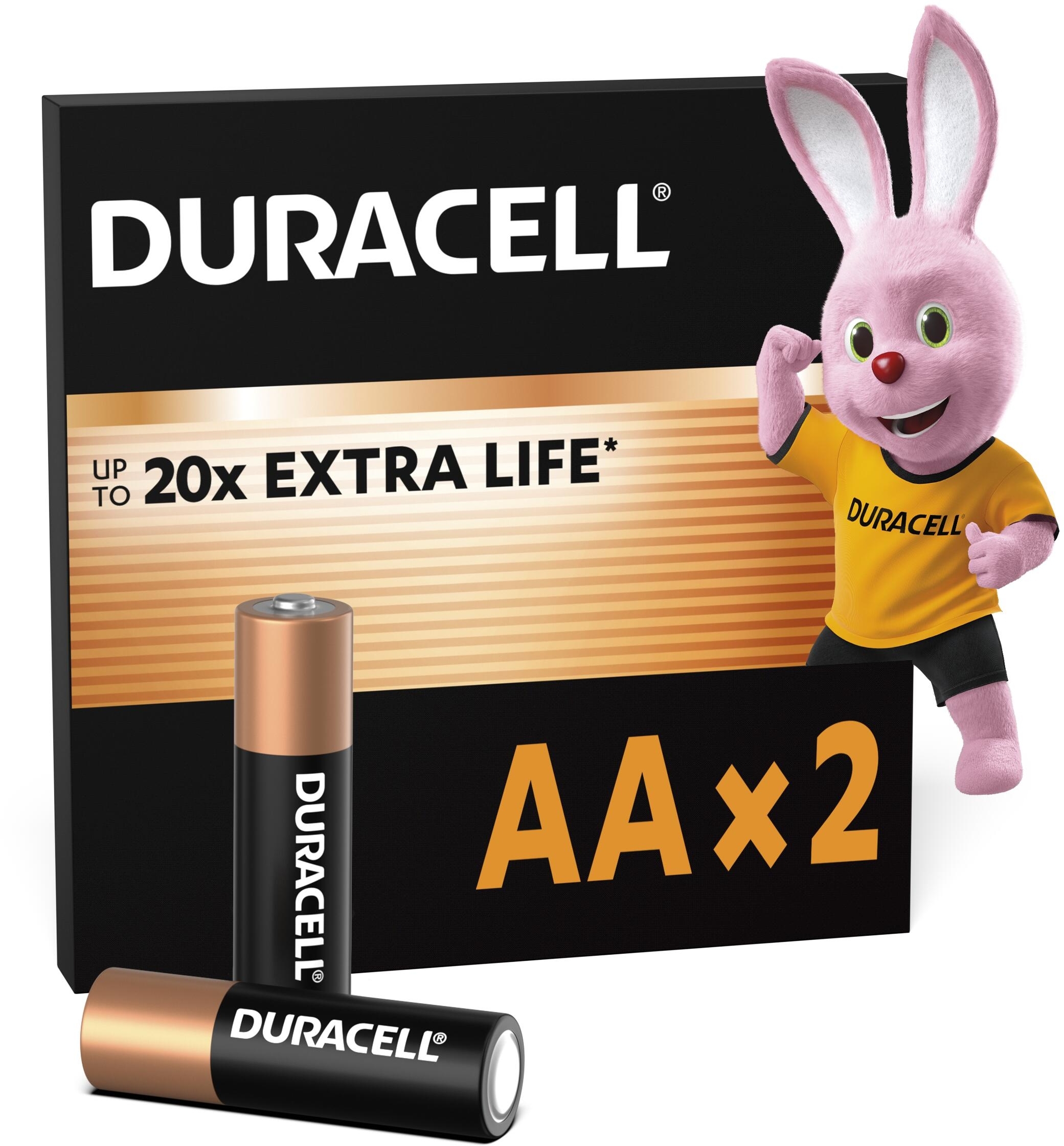 Батарейки Duracell Basic AA 2шт (5000394076921) фото 3