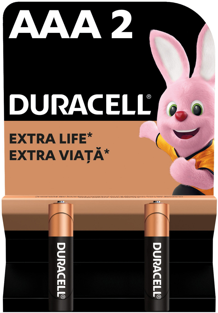 Батарейки Duracell Basic AAА 2шт (5000394077133) фото 2