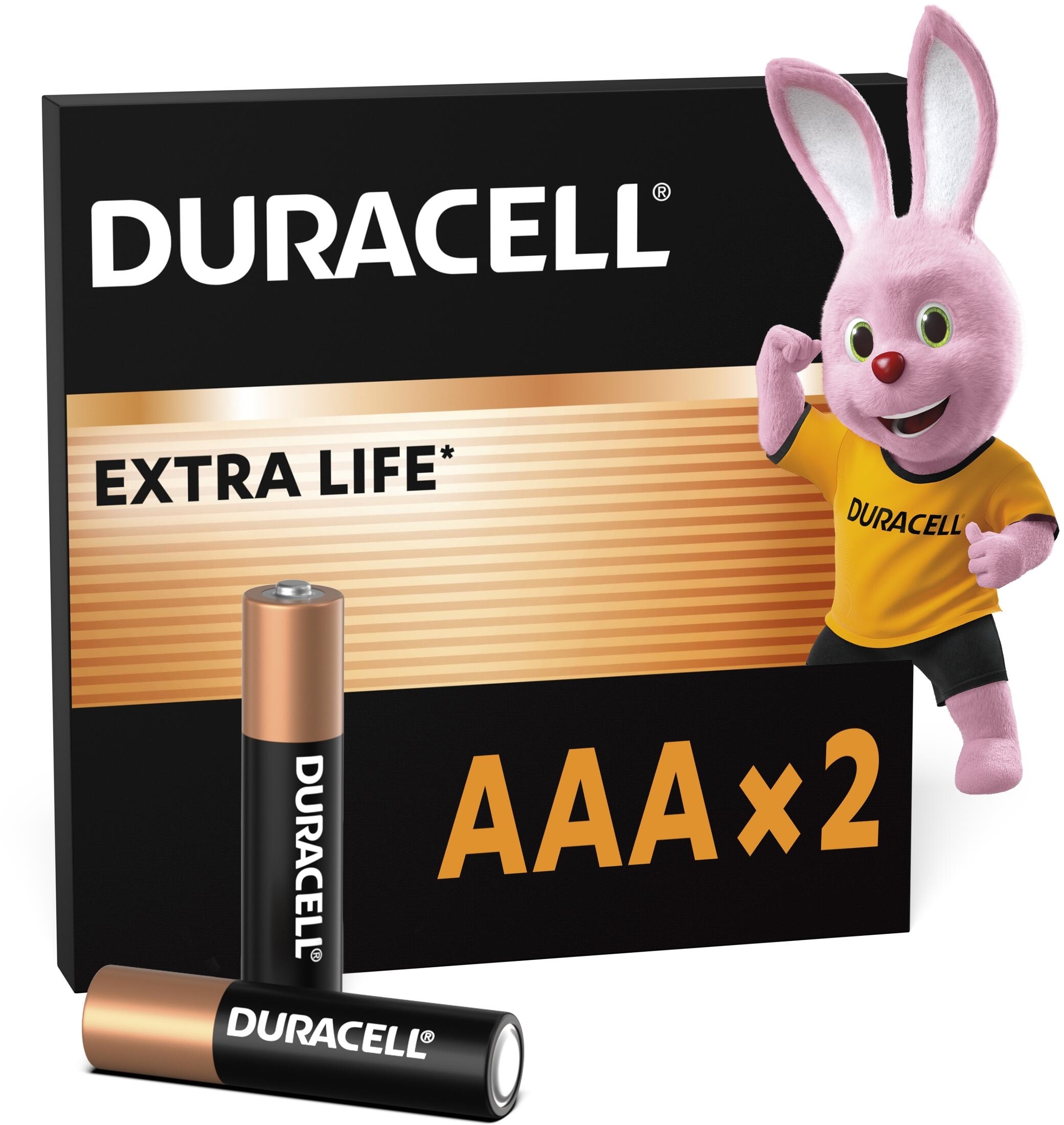 Батарейки Duracell Basic AAА 2шт (5000394077133) фото 3