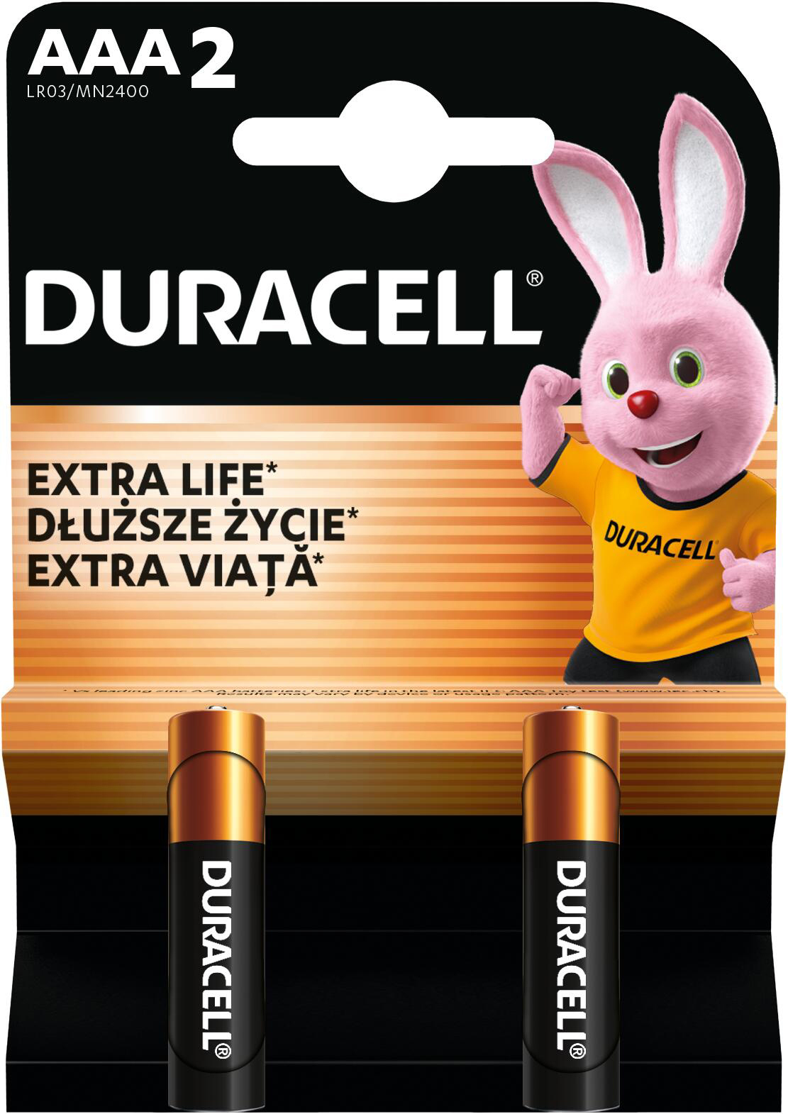 Батарейки щелочные Duracell Basic AAА 2шт (5000394077133) фото 