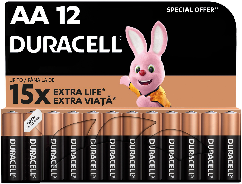 Батарейки Duracell Basic AA 12 шт (5000394203334) фото 2