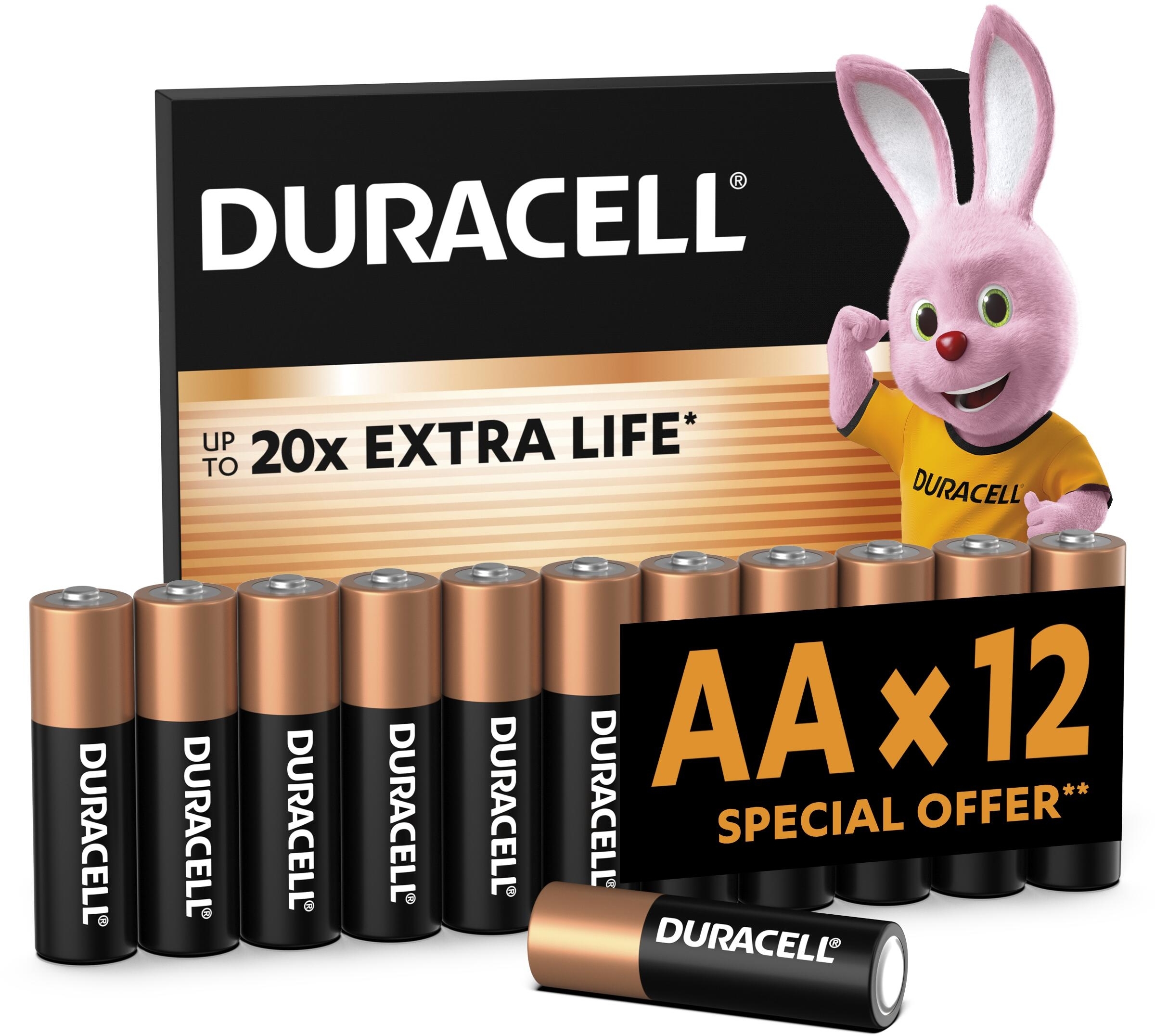 Батарейки Duracell Basic AA 12 шт (5000394203334) фото 