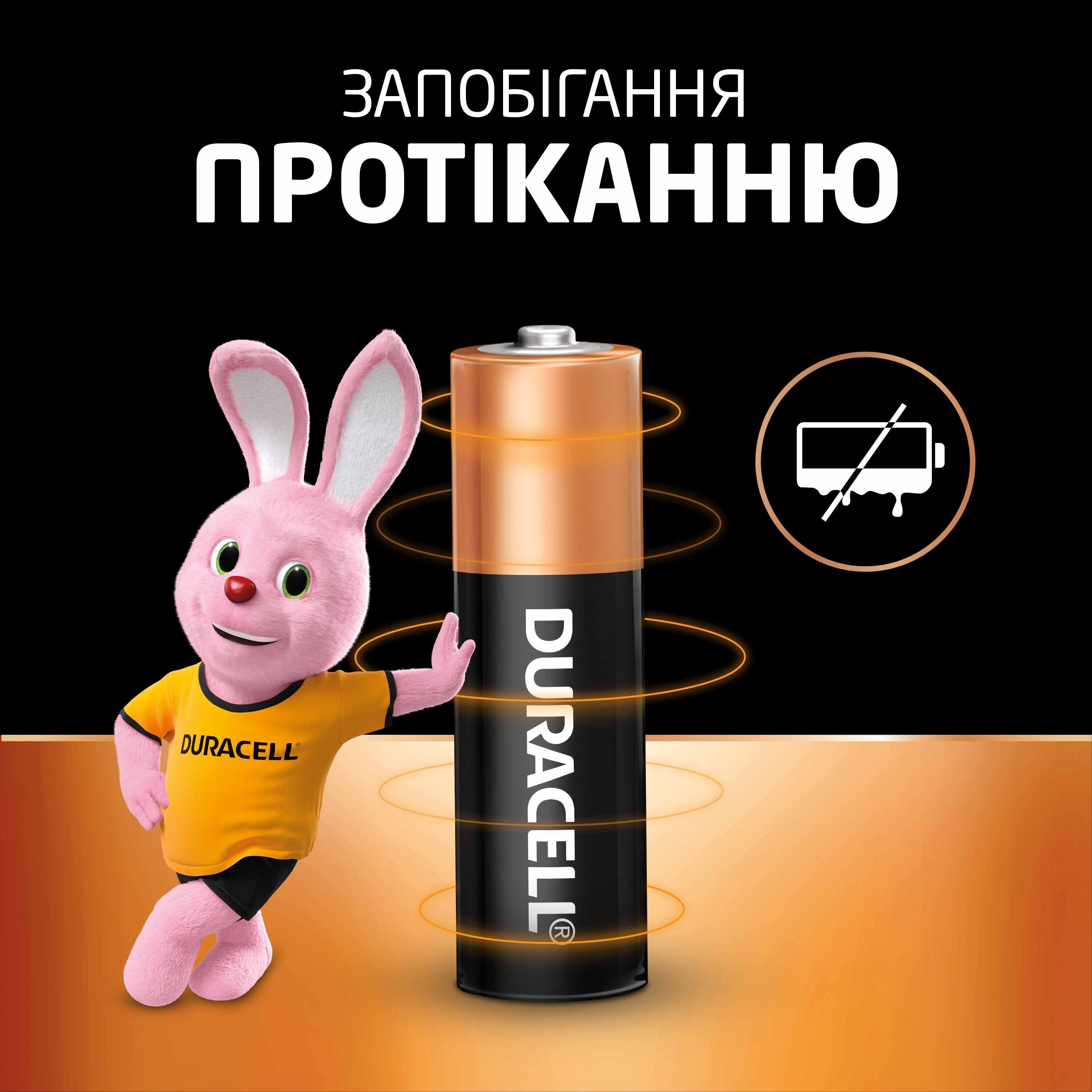 Лужні батарейки Duracell Basic AA 12 шт (5000394203334)фото