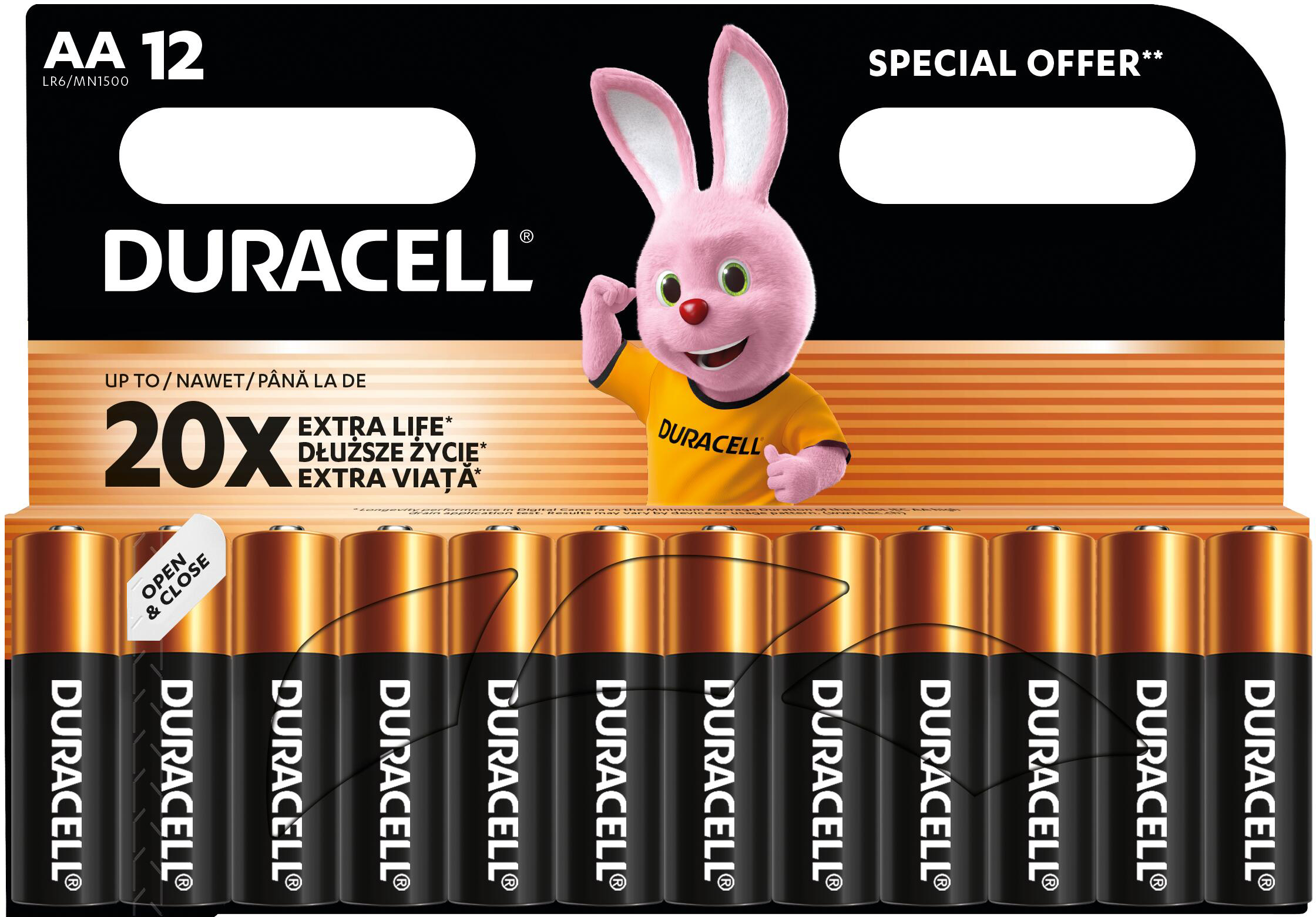 Лужні батарейки Duracell Basic AA 12 шт (5000394203334)фото