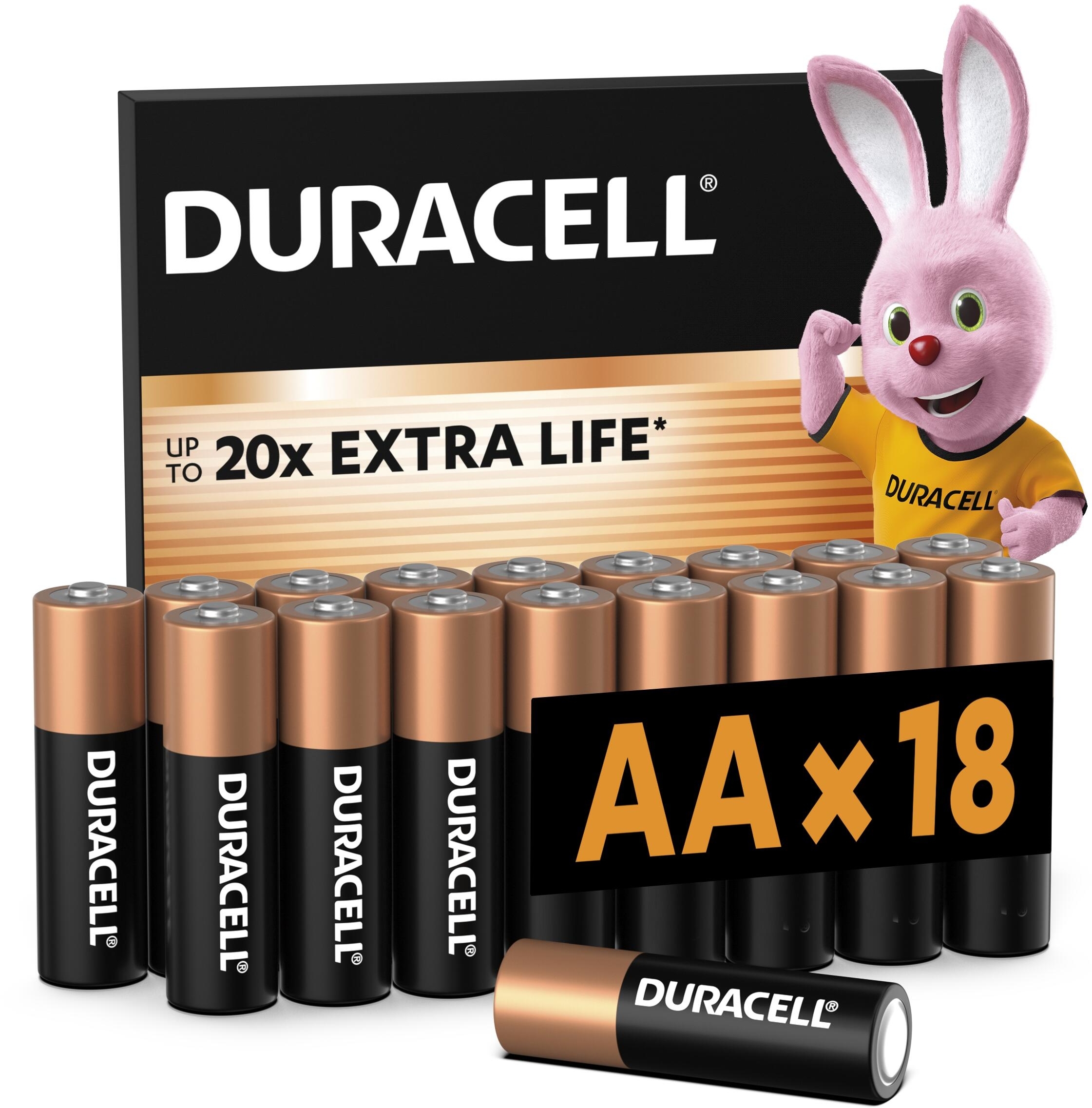 Батарейки Duracell Basic AA 18 шт (5000394107519) фото 