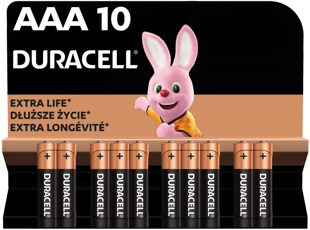 Батарейки Duracell Basic AAА 10 шт (5000394152557) фото 2
