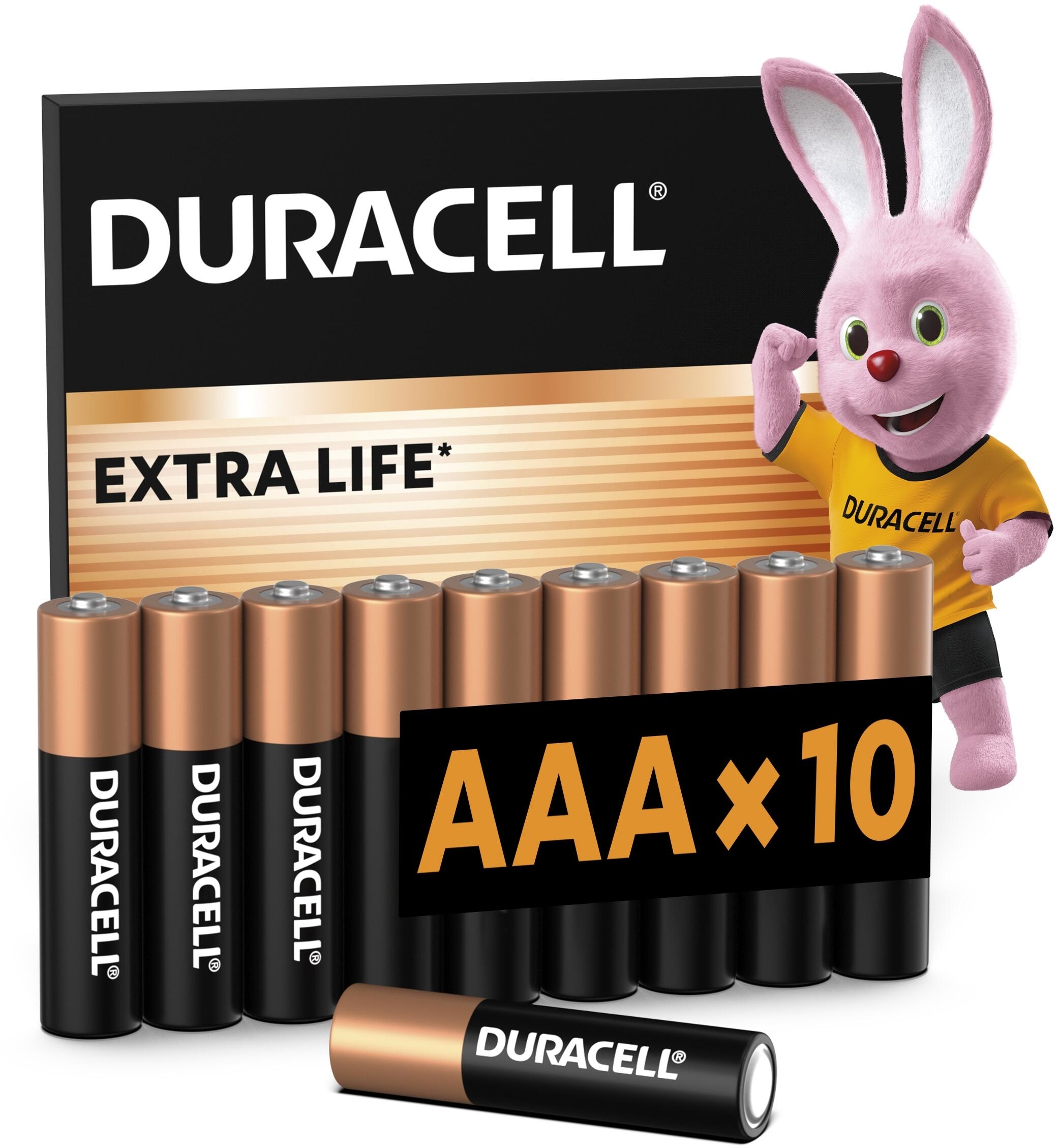 Батарейки Duracell Basic AAА 10 шт (5000394152557) фото 
