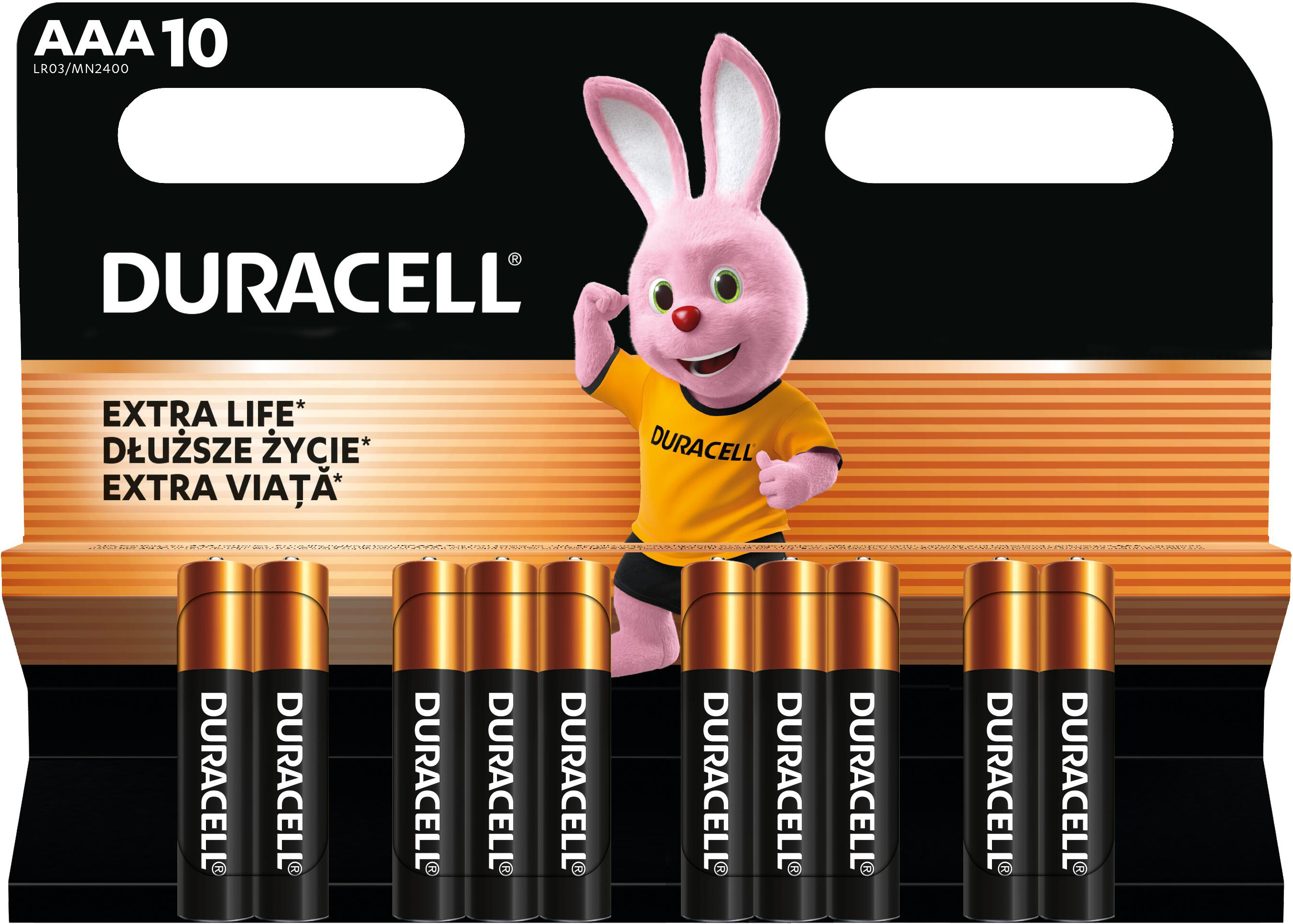 Батарейки лужні Duracell Basic AAА 10 шт (5000394152557)фото