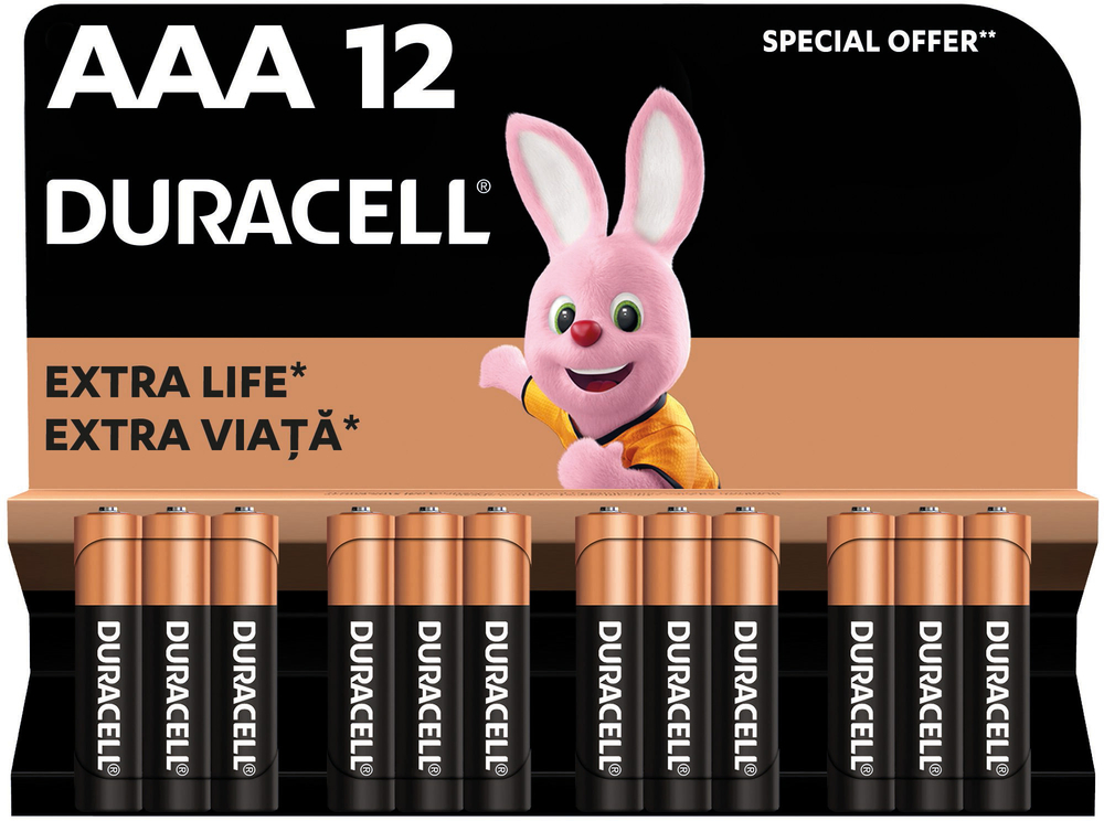 Батарейки Duracell Basic AAА 12 шт (5000394203389) фото 2