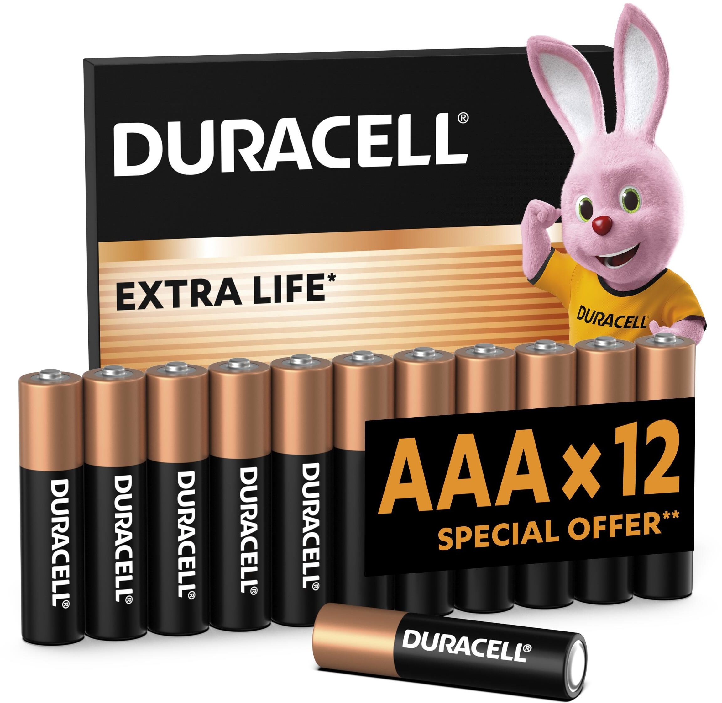 Батарейки Duracell Basic AAА 12 шт (5000394203389) фото 