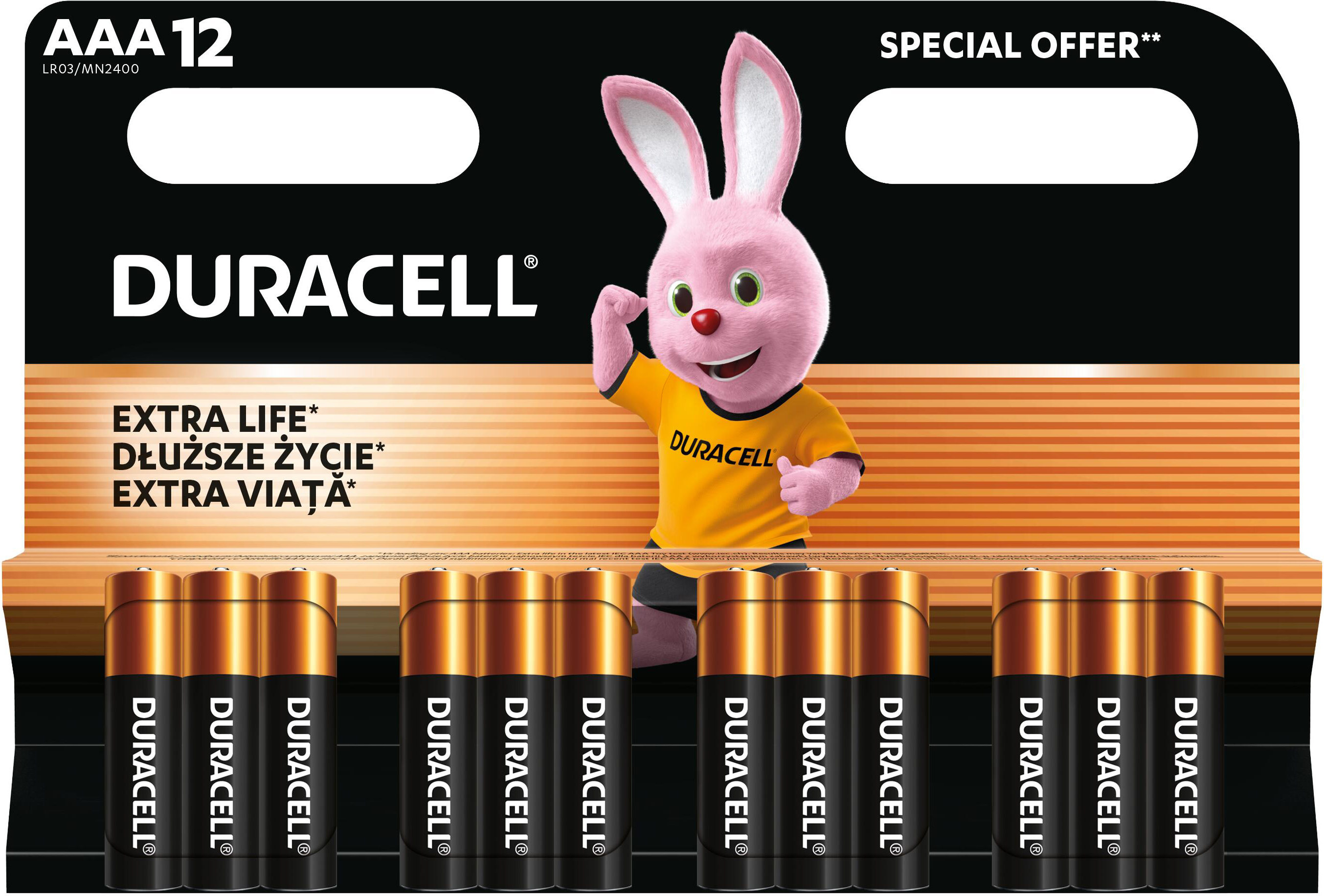 Лужні батарейки Duracell Basic AAА 12 шт (5000394203389)фото3