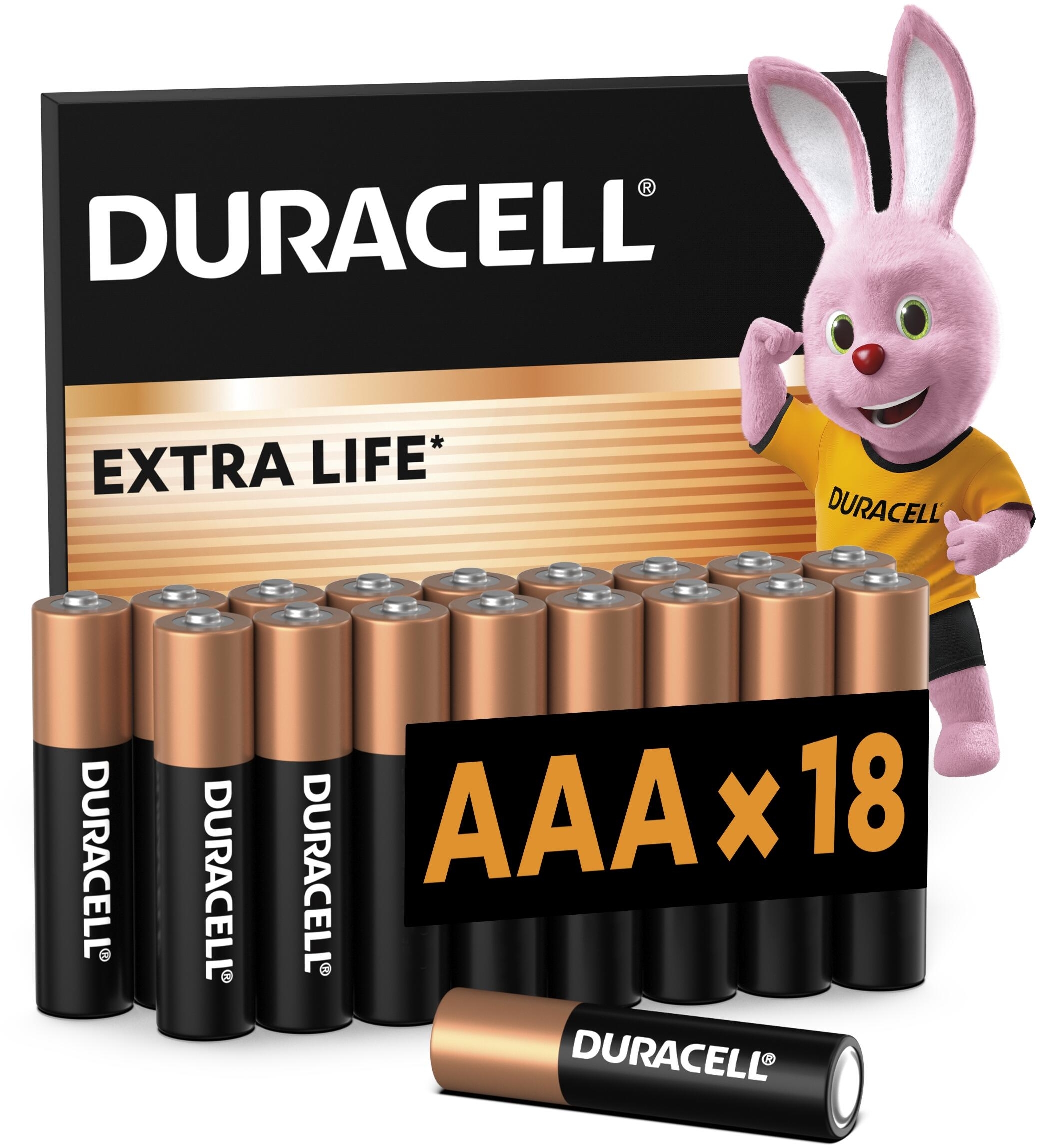 Батарейки Duracell Basic AAА 18 шт (5000394107557) фото 