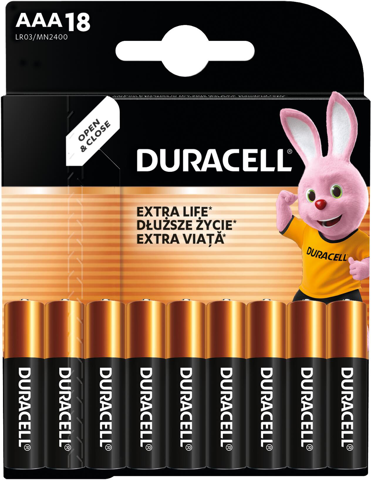 Щелочные батарейки Duracell Basic AAА 18 шт (5000394107557) фото 3