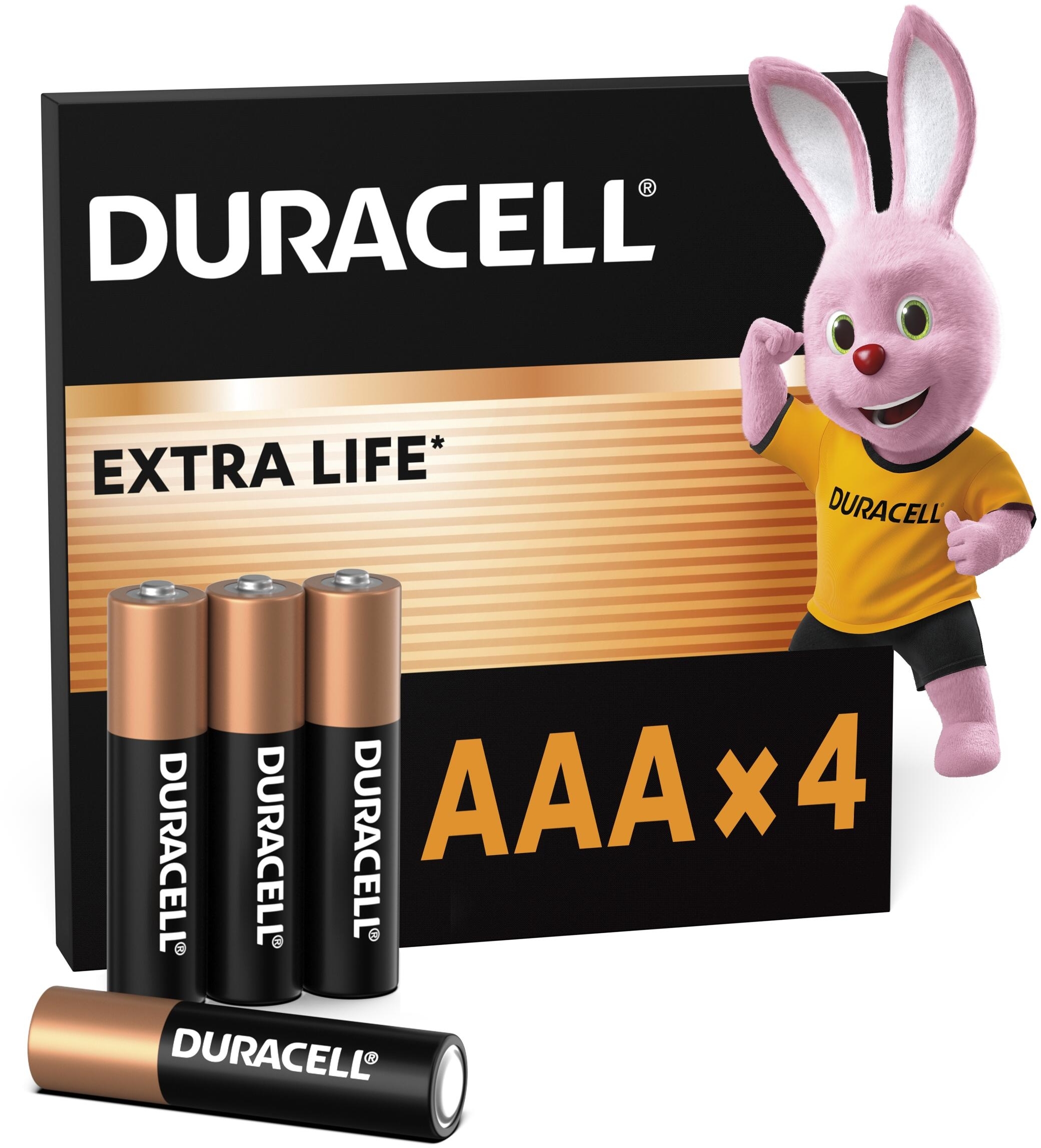 Батарейки Duracell Basic AAА 4 шт (5000394077164) фото 