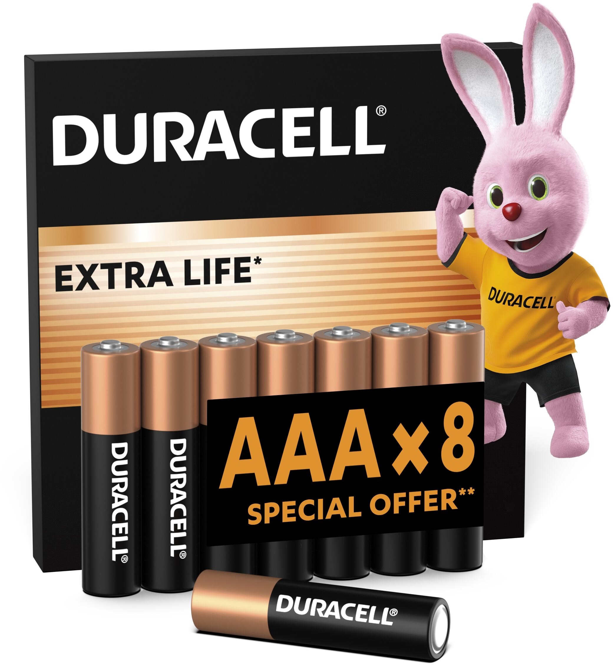Батарейки Duracell Basic AAА 8 шт (5000394203358) фото 