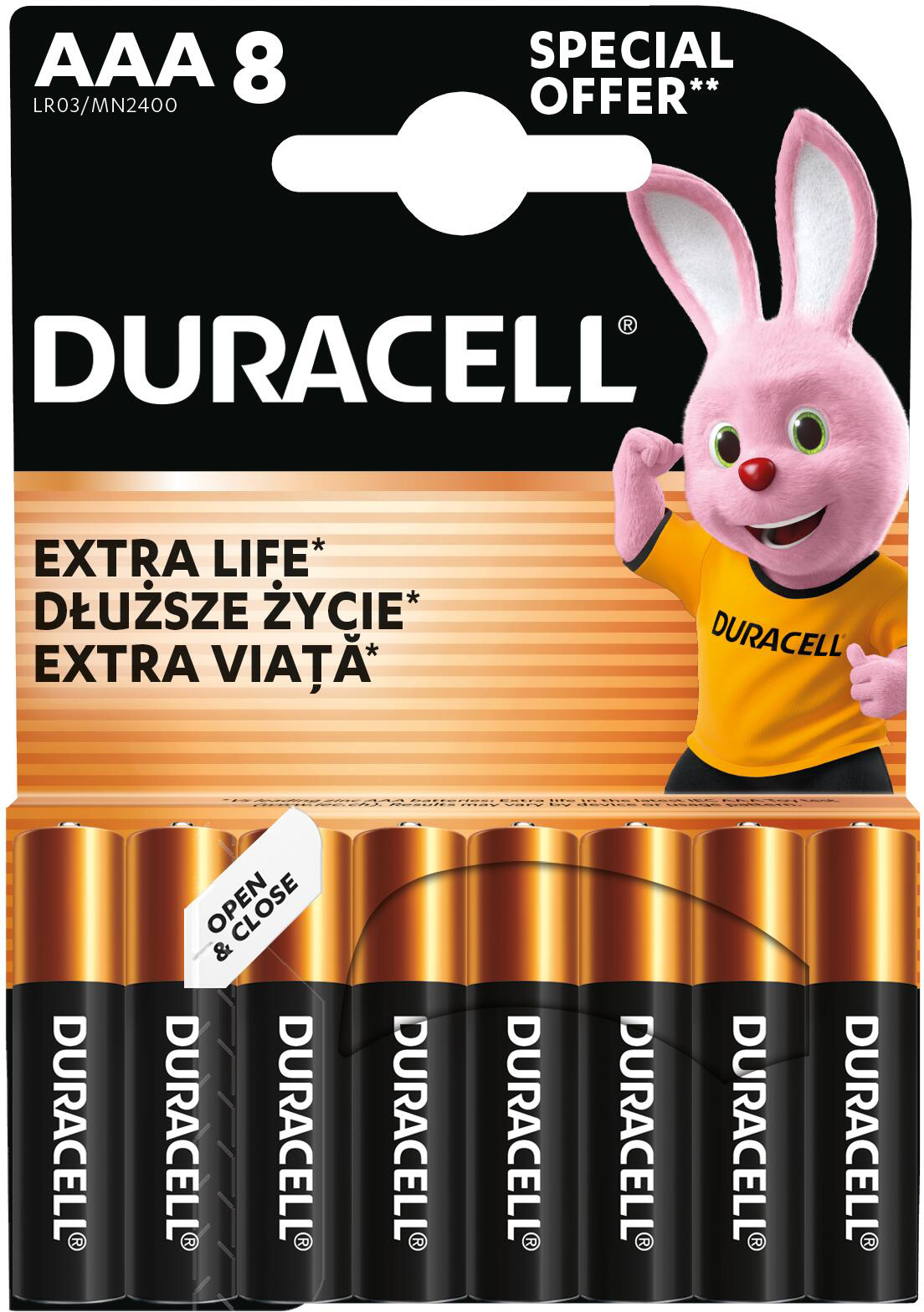 Щелочные батарейки Duracell Basic AAА 8 шт (5000394203358) фото 