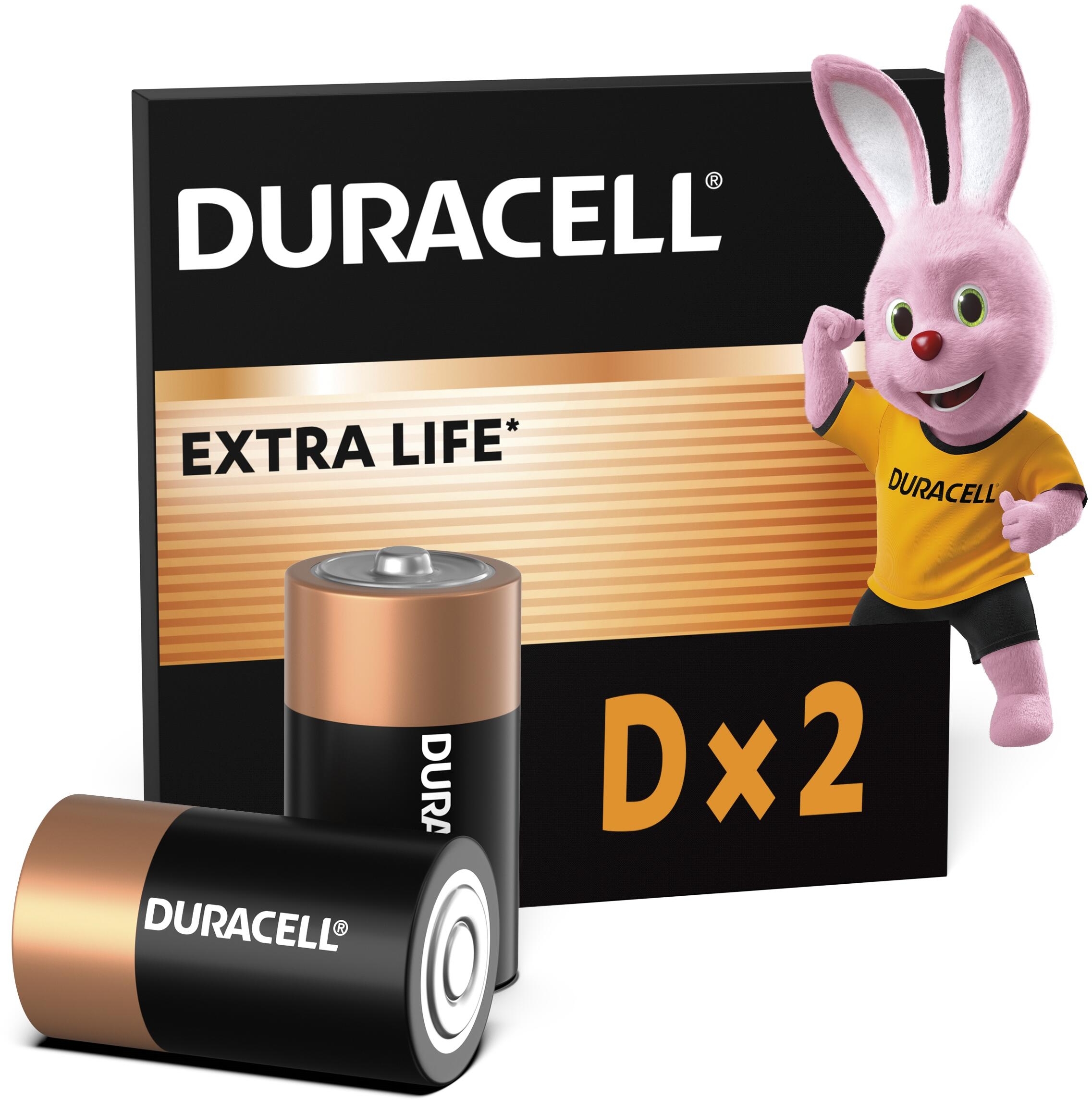 Батарейки Duracell D 2 шт (5000394076730) фото 