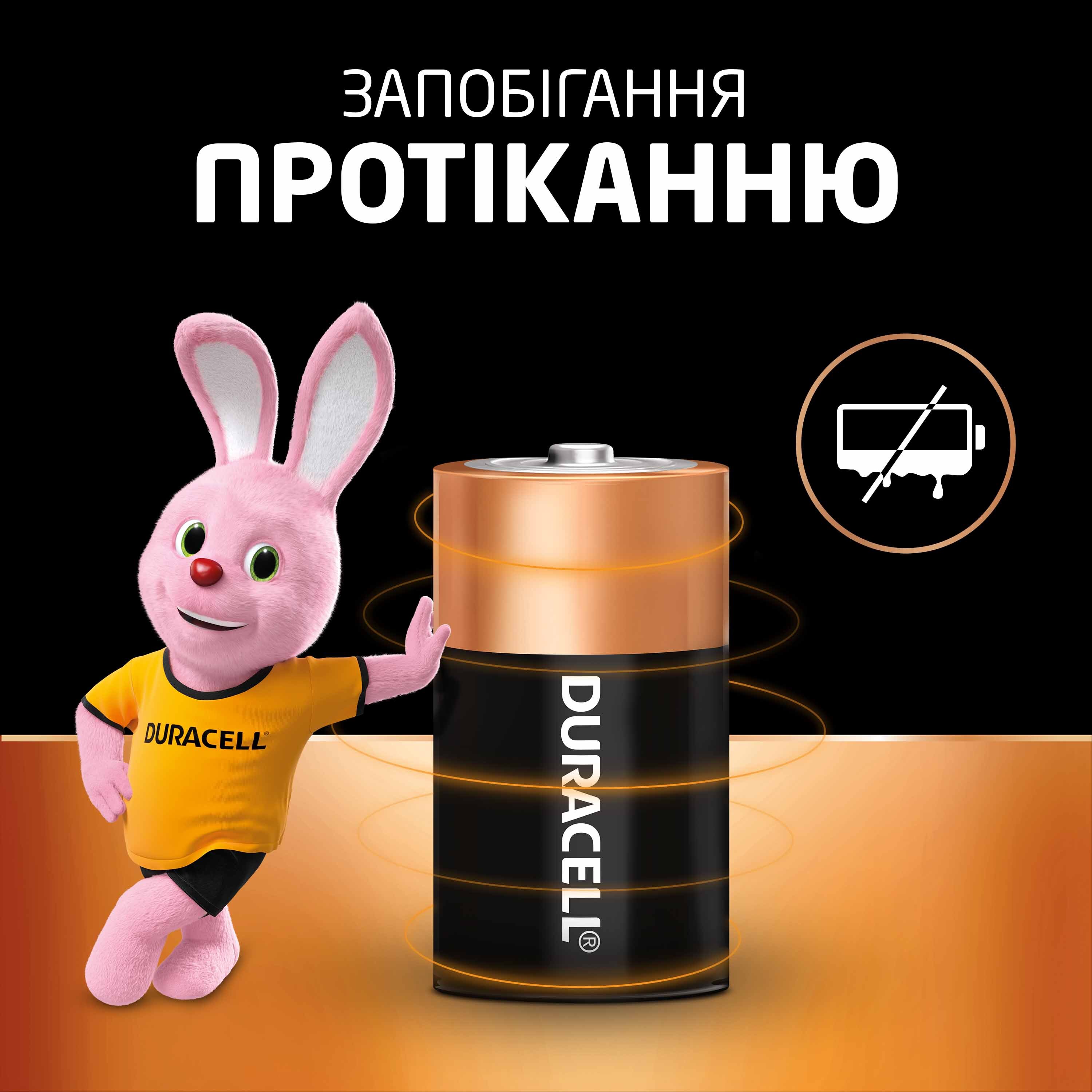 Щелочные батарейки Duracell D 2 шт (5000394076730) фото 