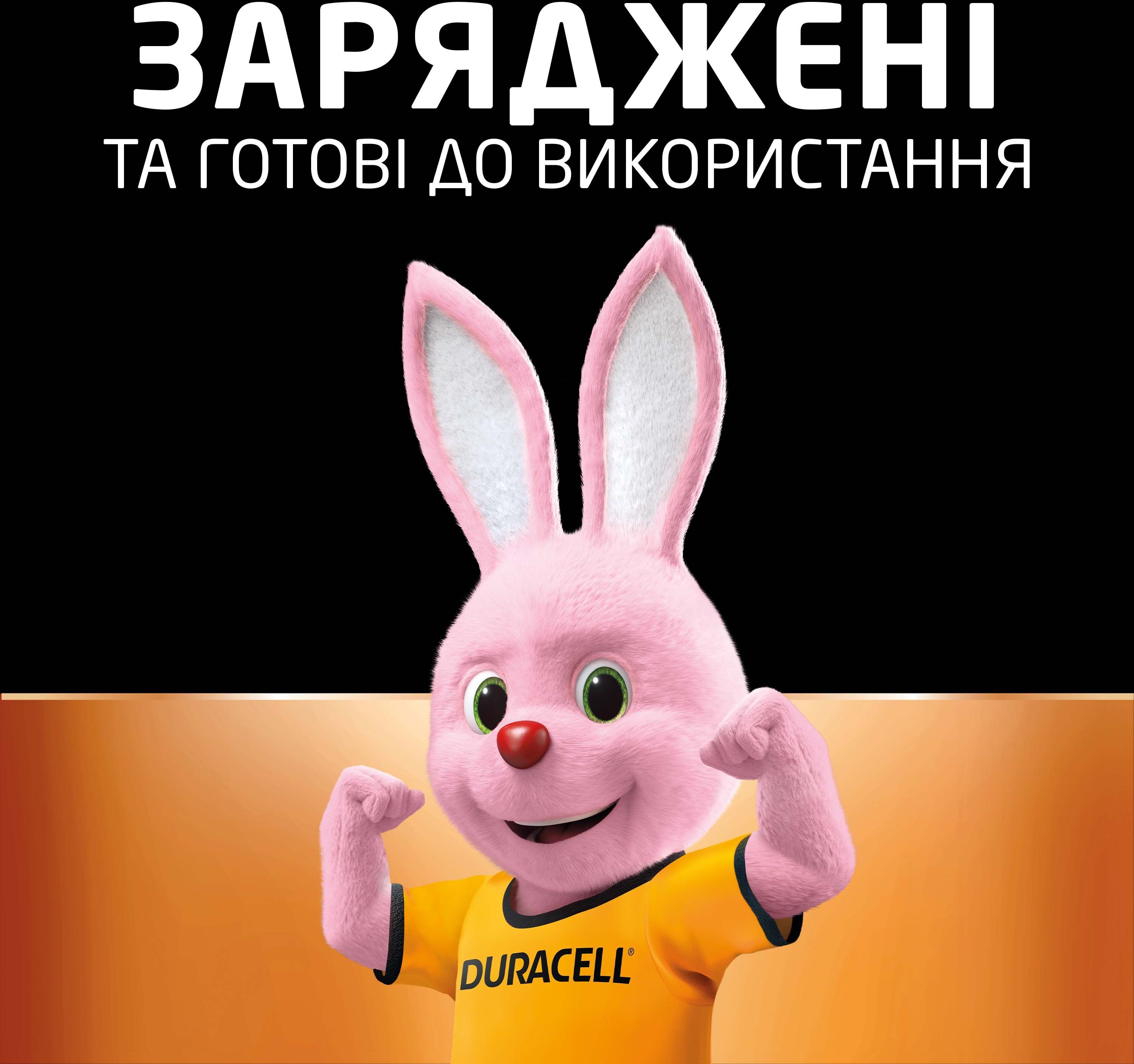 Аккумуляторы Duracell Rechargeable AAA 750 mAh 4 шт (5000394090231) фото 7