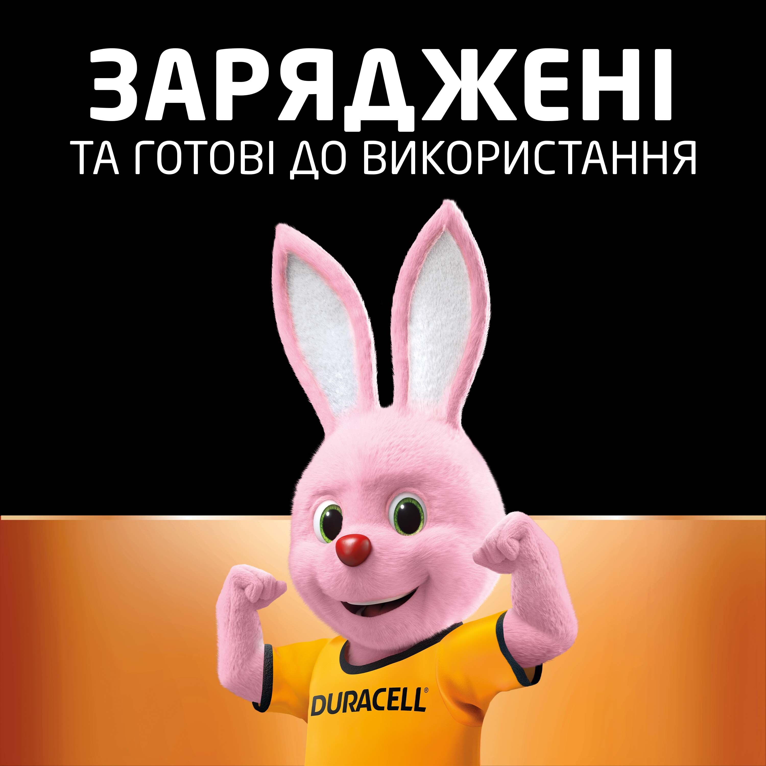 Аккумуляторы Duracell Rechargeable AAA 750 mAh 4 шт (5000394090231) фото 