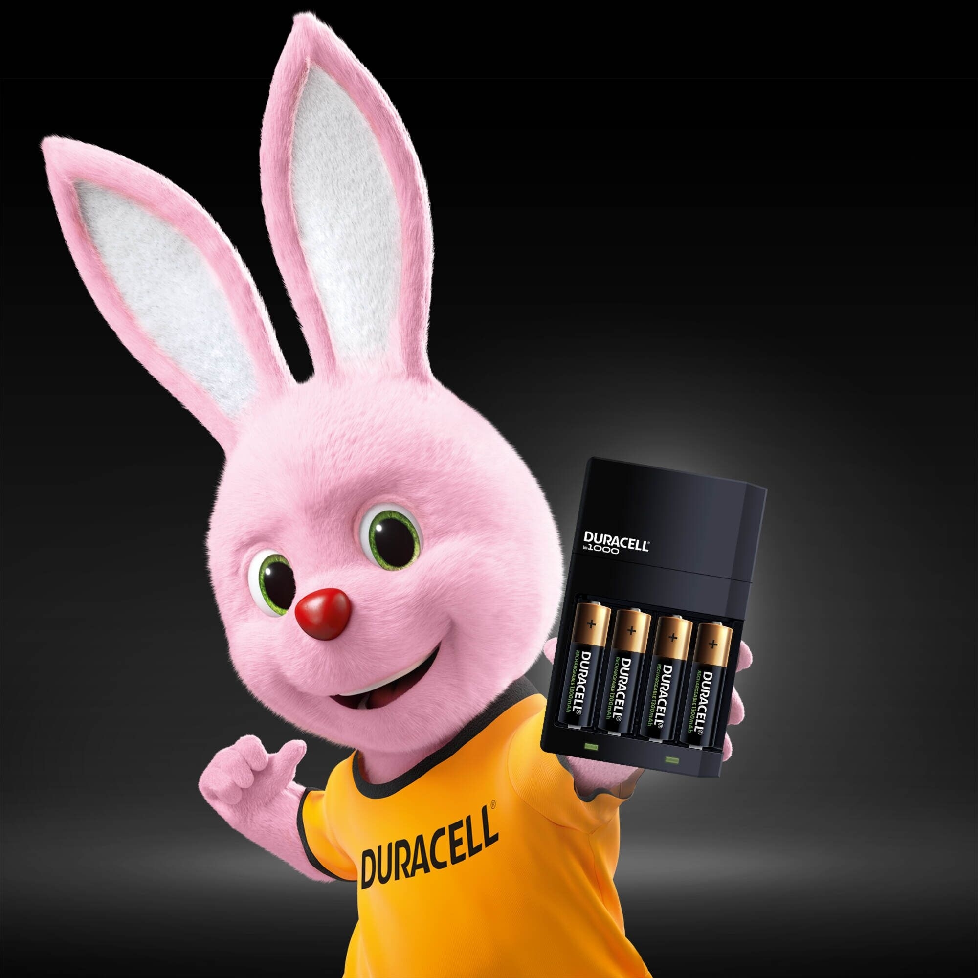 Зарядний пристрій Duracell CEF 14+2 AA 1300mAh+2 AAA 750mAh (5000394114500)фото
