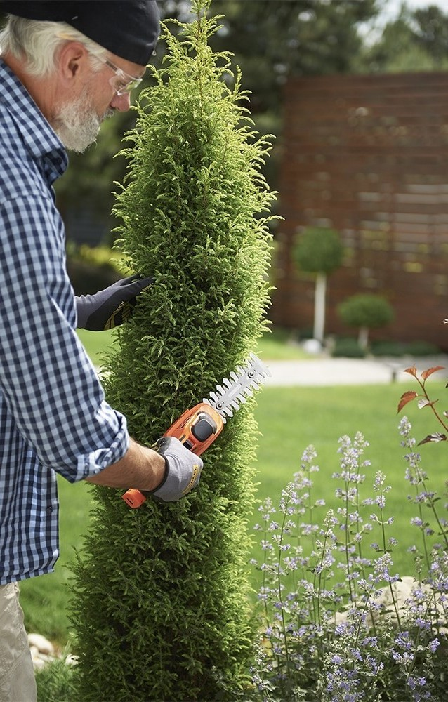 Ножницы для травы аккумуляторные SEQUOIA SBC7213 7.2В (SBC7213) фото 