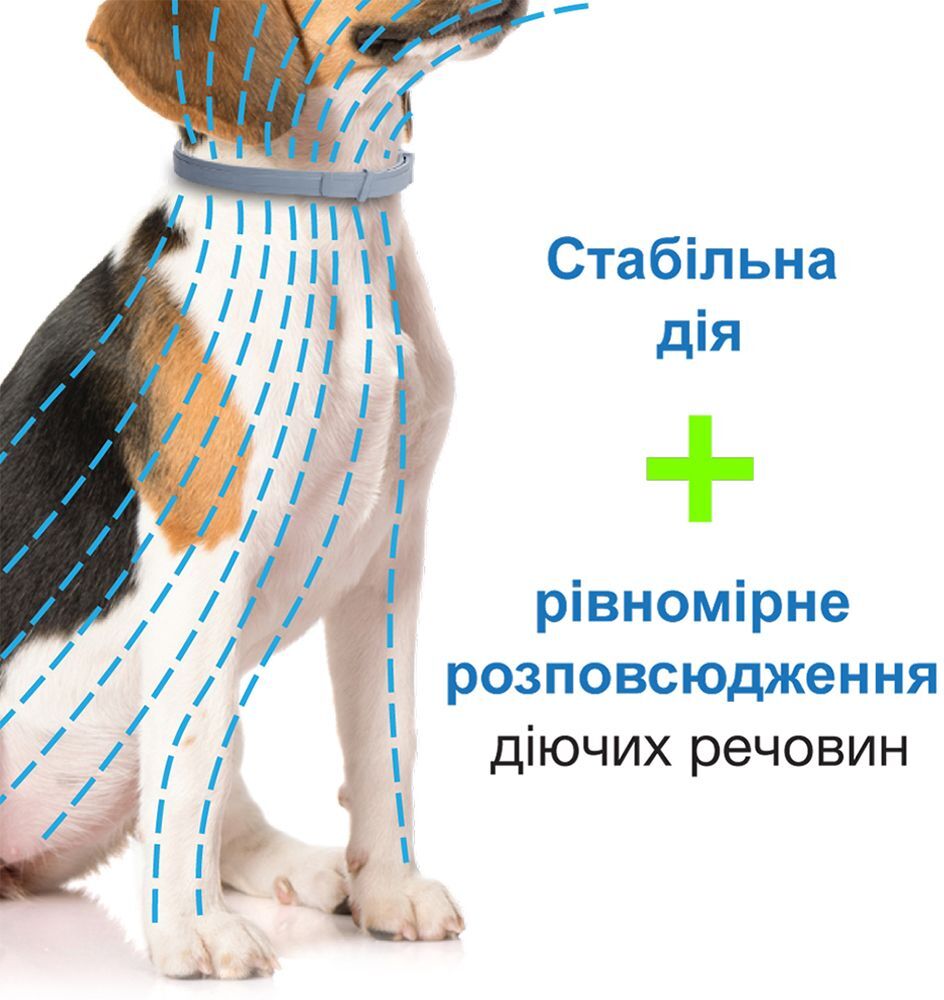 Нашийник Elanco (Bayer) Foresto Форесто від бліх та кліщів для собак малих порід та котів до 8 кг, 38 смфото