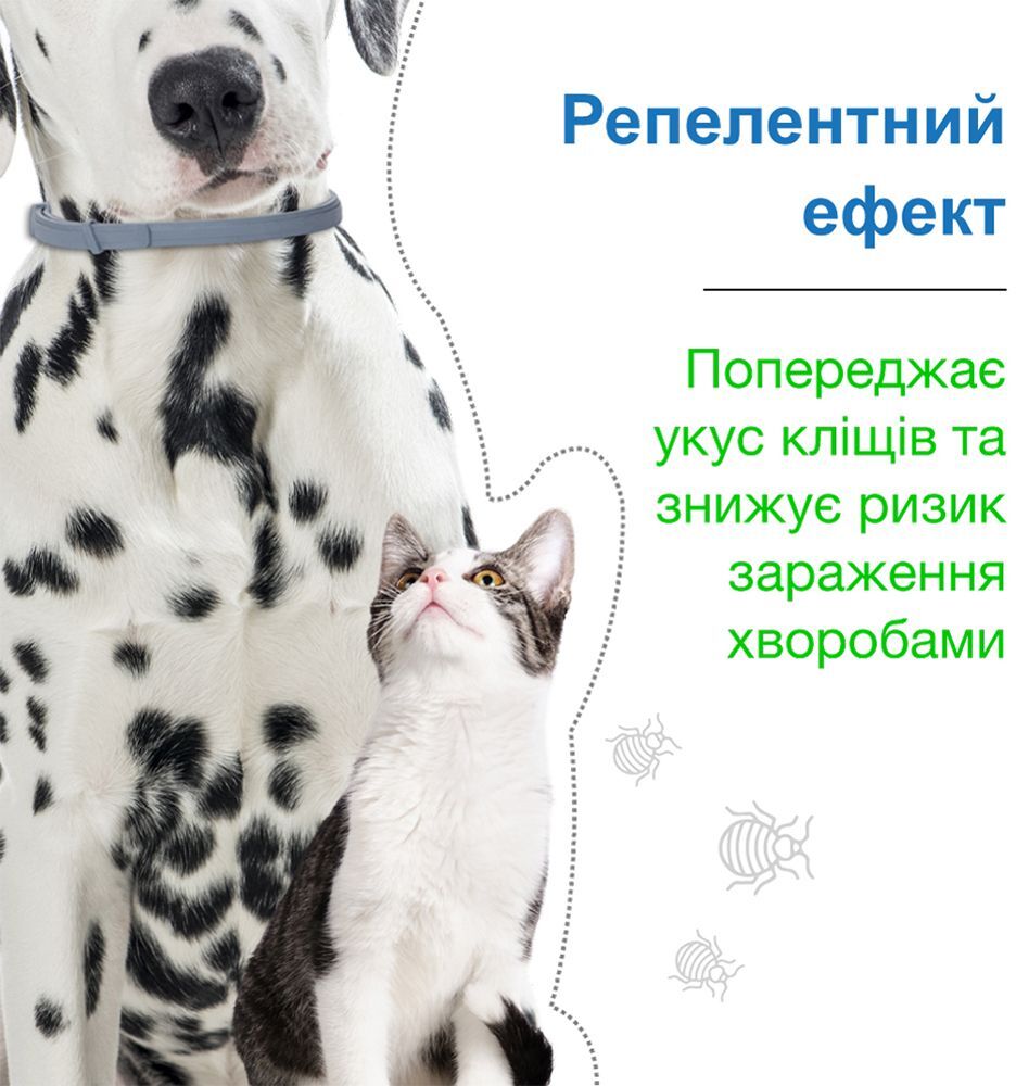 Нашийник Elanco (Bayer) Foresto Форесто від бліх та кліщів для собак малих порід та котів до 8 кг, 38 смфото
