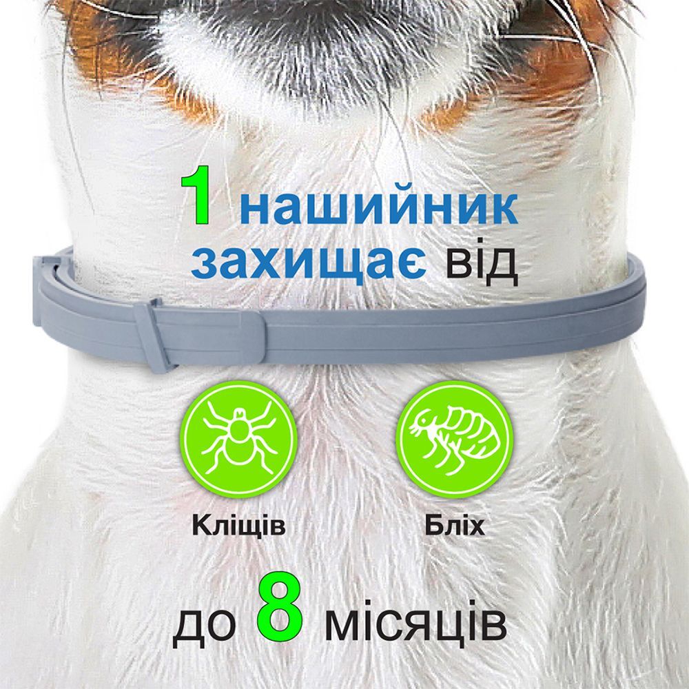Нашийник Elanco (Bayer) Foresto Форесто від бліх та кліщів для собак малих порід та котів до 8 кг, 38 смфото