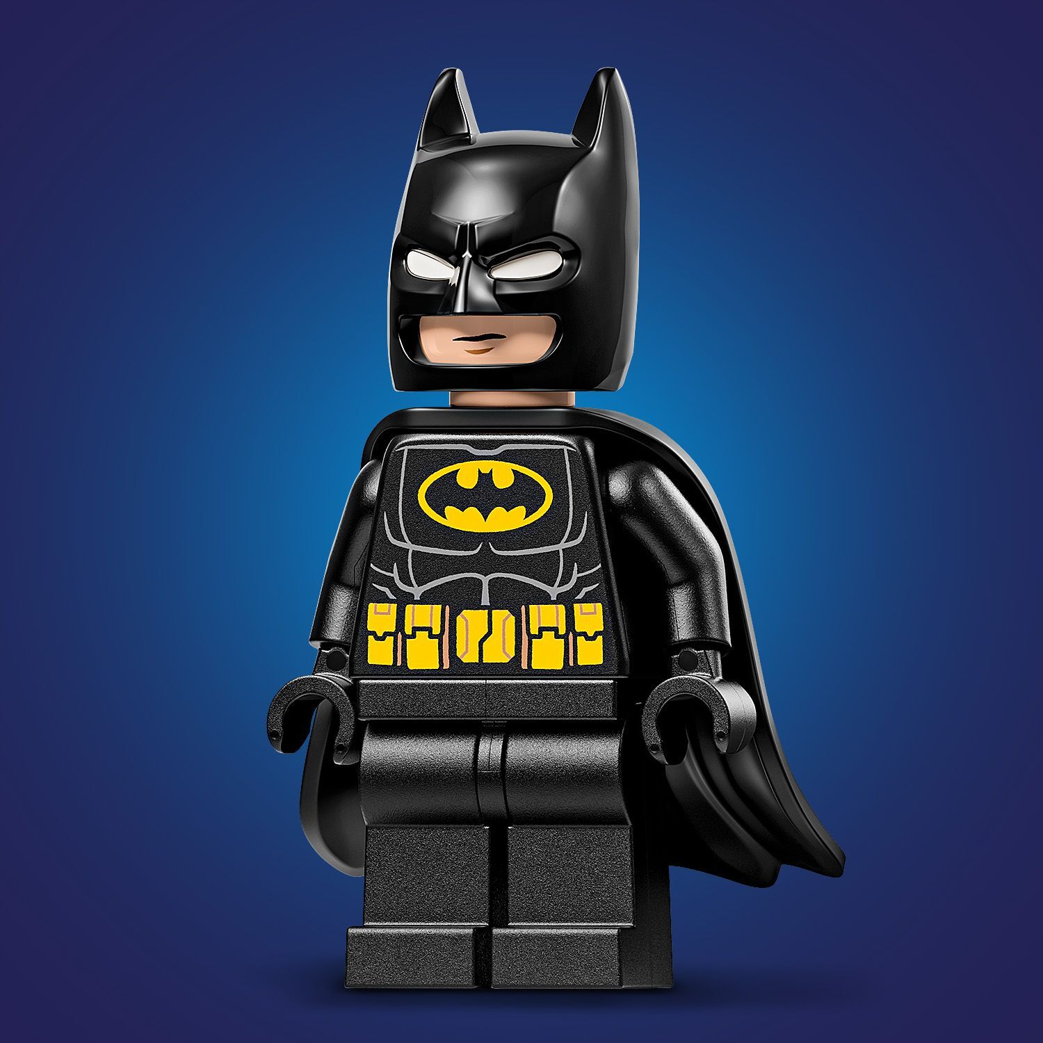 LEGO 76330 Super Heroes Логотип Бэтмена фото 14