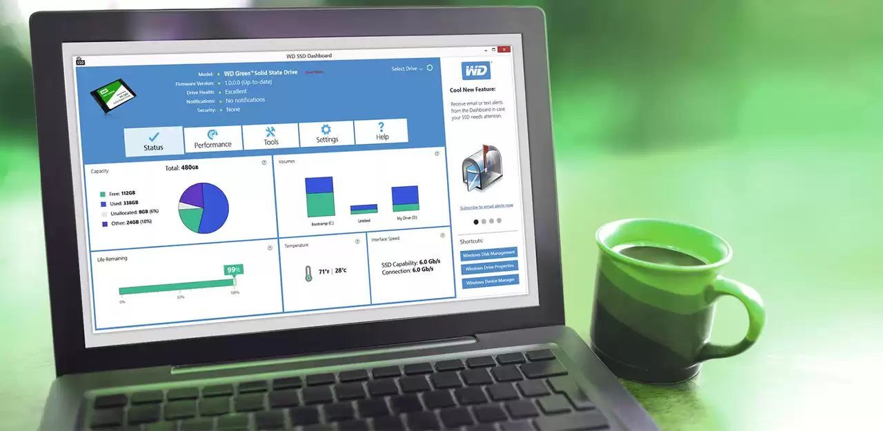 SSD накопитель WD M.2 2280 240GB (WDS240G3G0B) фото 
