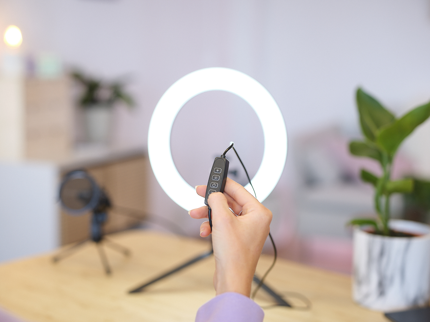 Комплект для стриминга Trust Maku+ 2-in-1 Streaming Kit, зеленый фон и кольцевая лампа фото 11