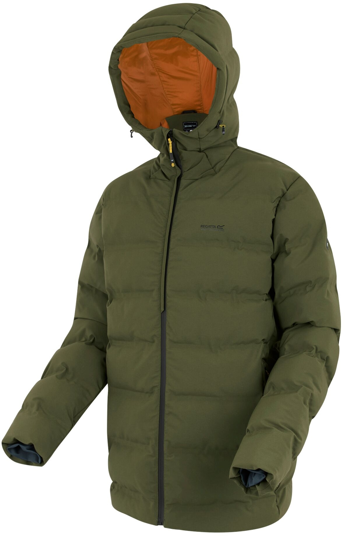 Куртка чоловіча Regatta AltoroThermal RMN 301-ZTB S хакі/поморанчевафото
