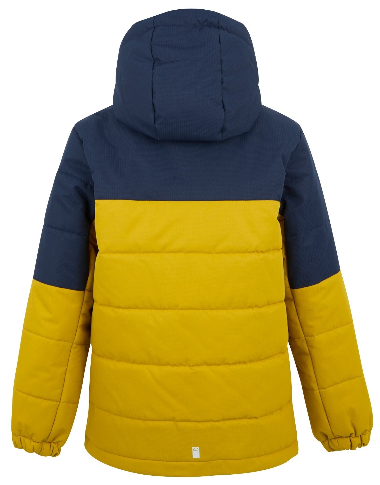 Пуховик для мальчика Regatta Lofthouse RKN202-ZLH 7-8 синий/жолтый фото 