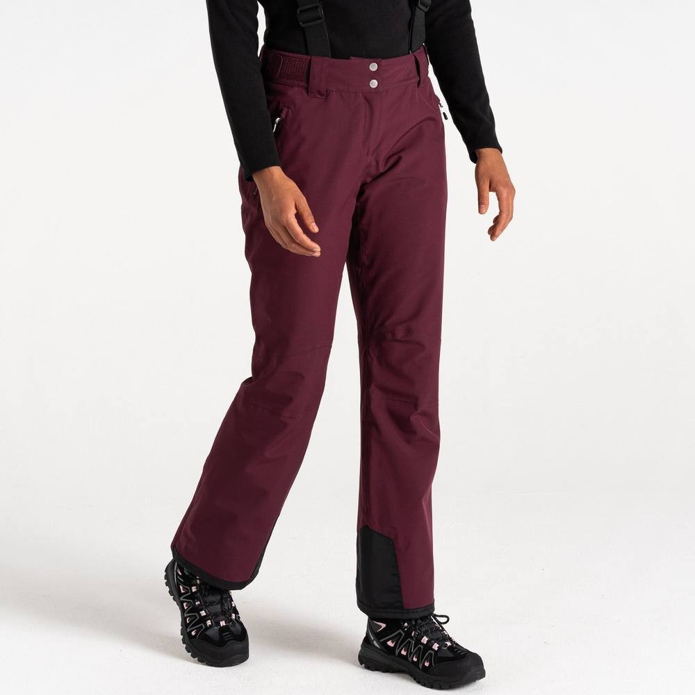 Штаны горнолыжные женсие Dare2b Diminish Pant DWW509-909 10 сливовые фото2
